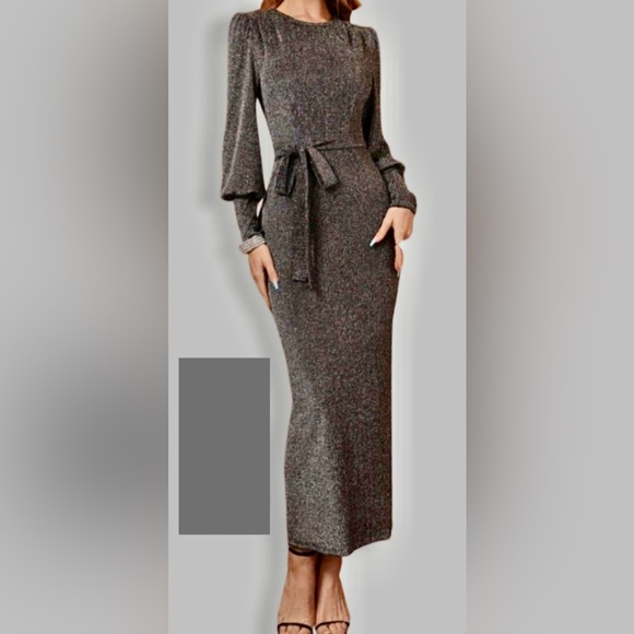 Silver Bishop Sleeve Belted Glitter Maxi Dress New w/o Tags - Picture 1 of 4